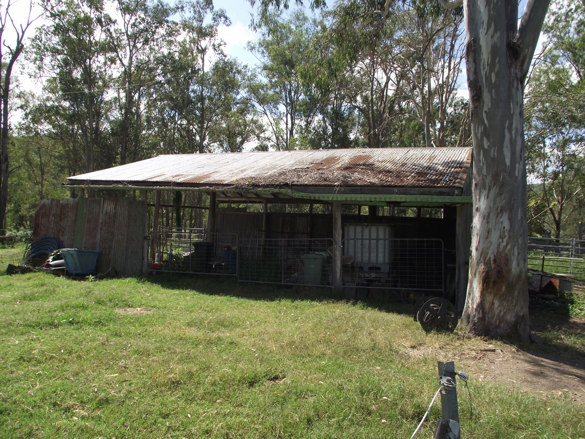Image 11