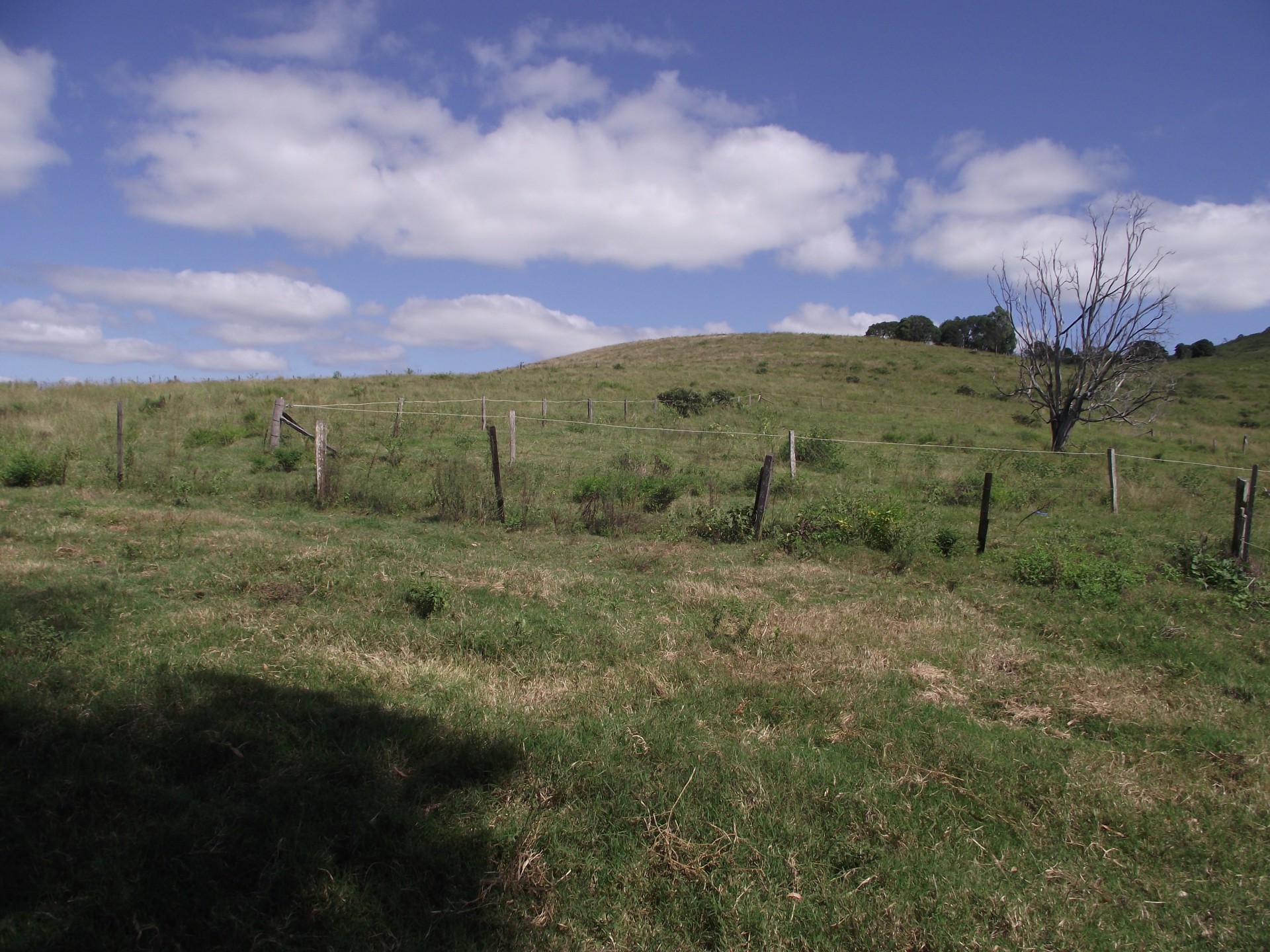 Image 21