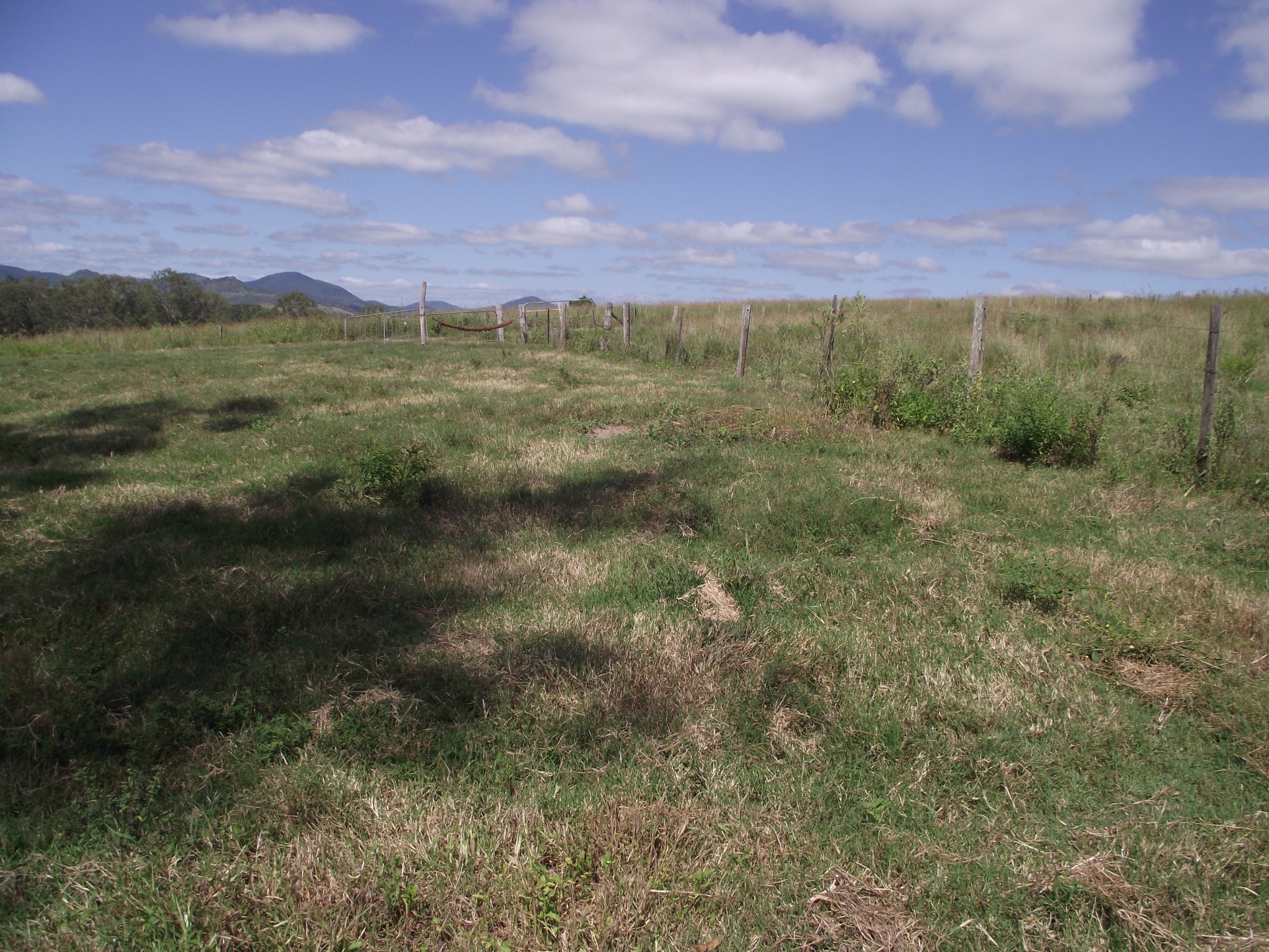 Image 22