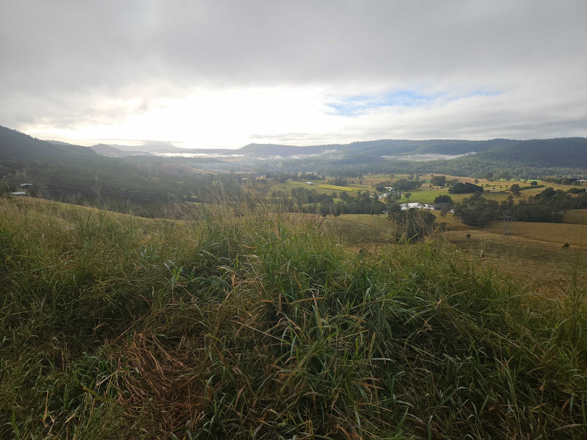 Image 11