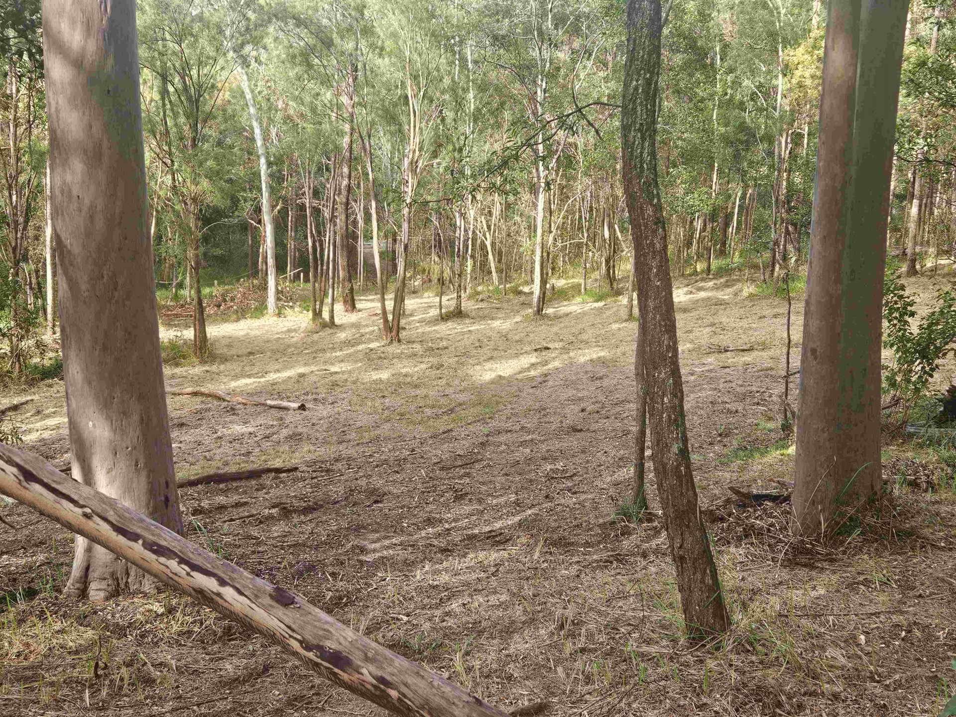 Image 6