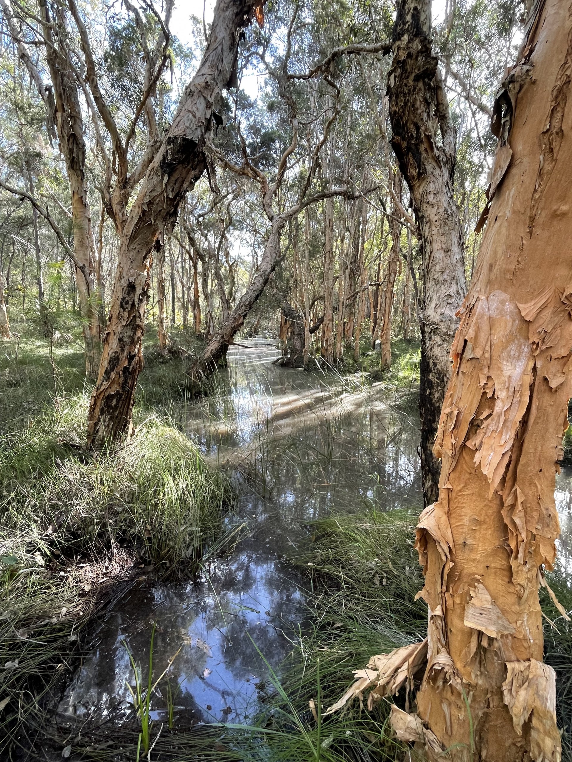 Image 15