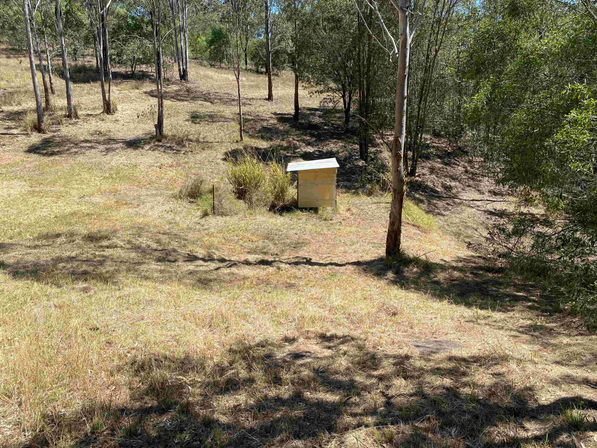 Image 12