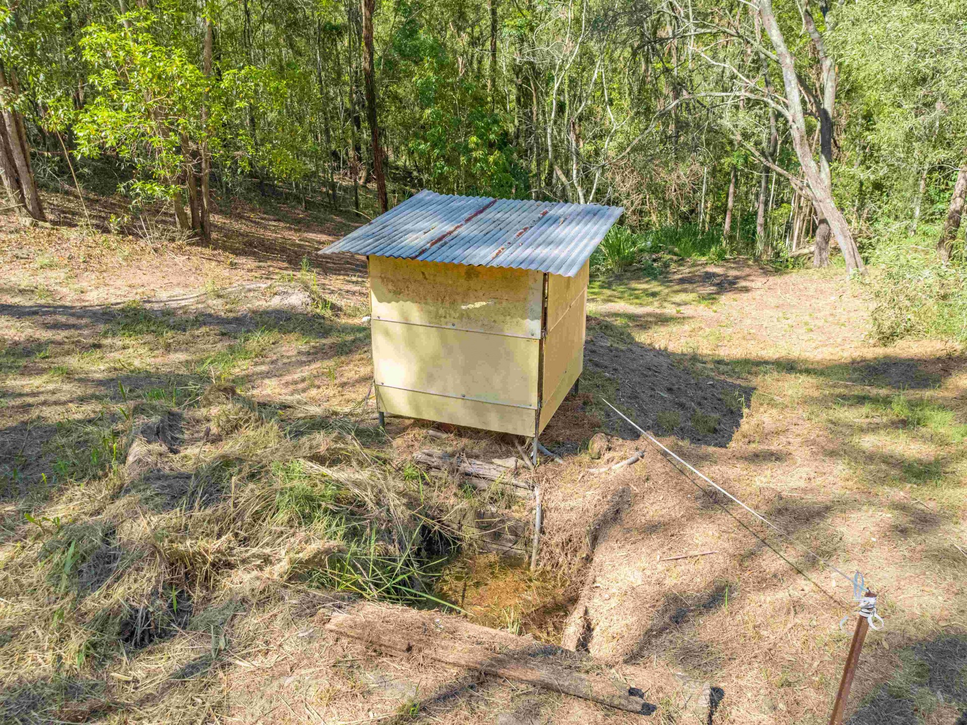 Image 13
