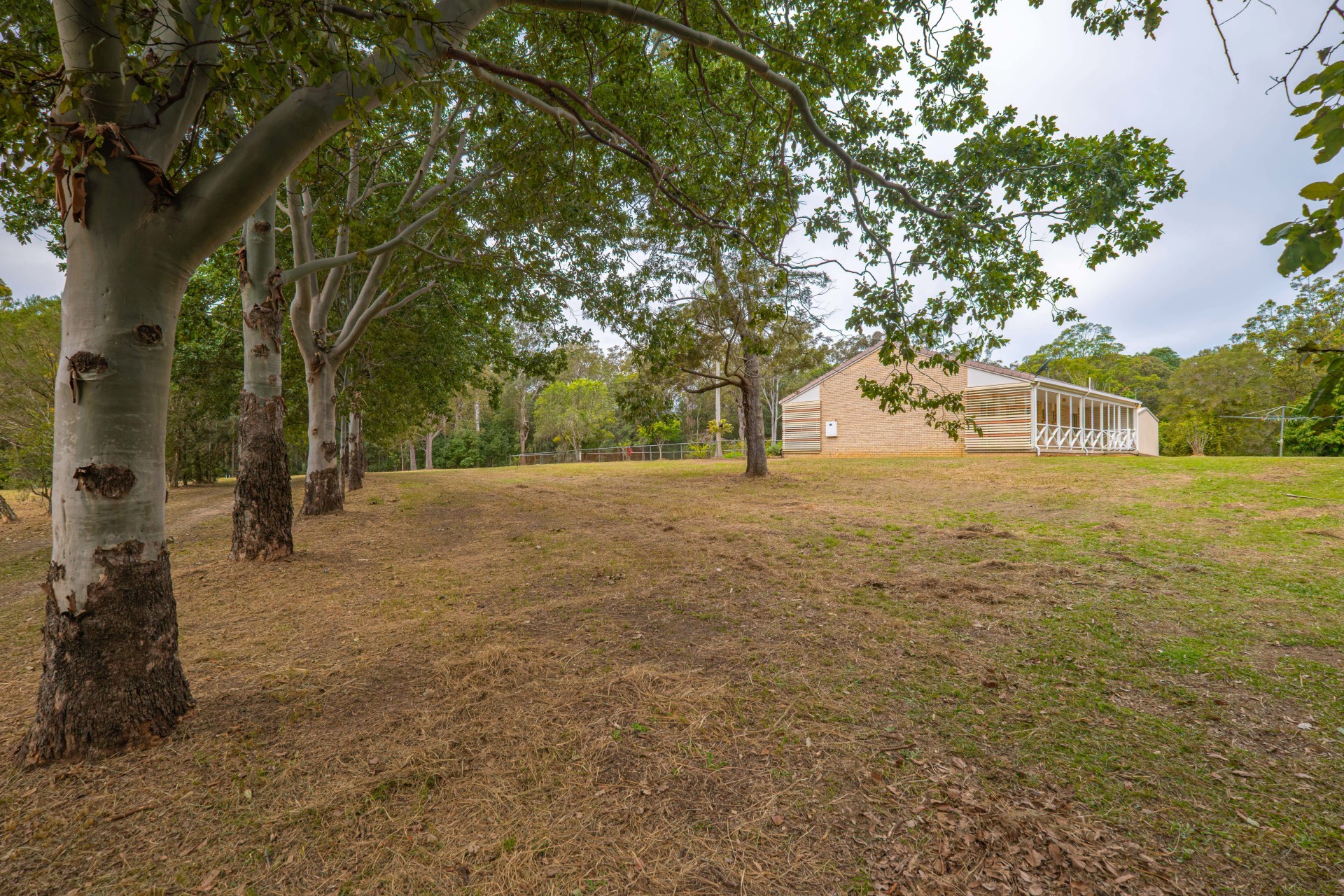 Image 25