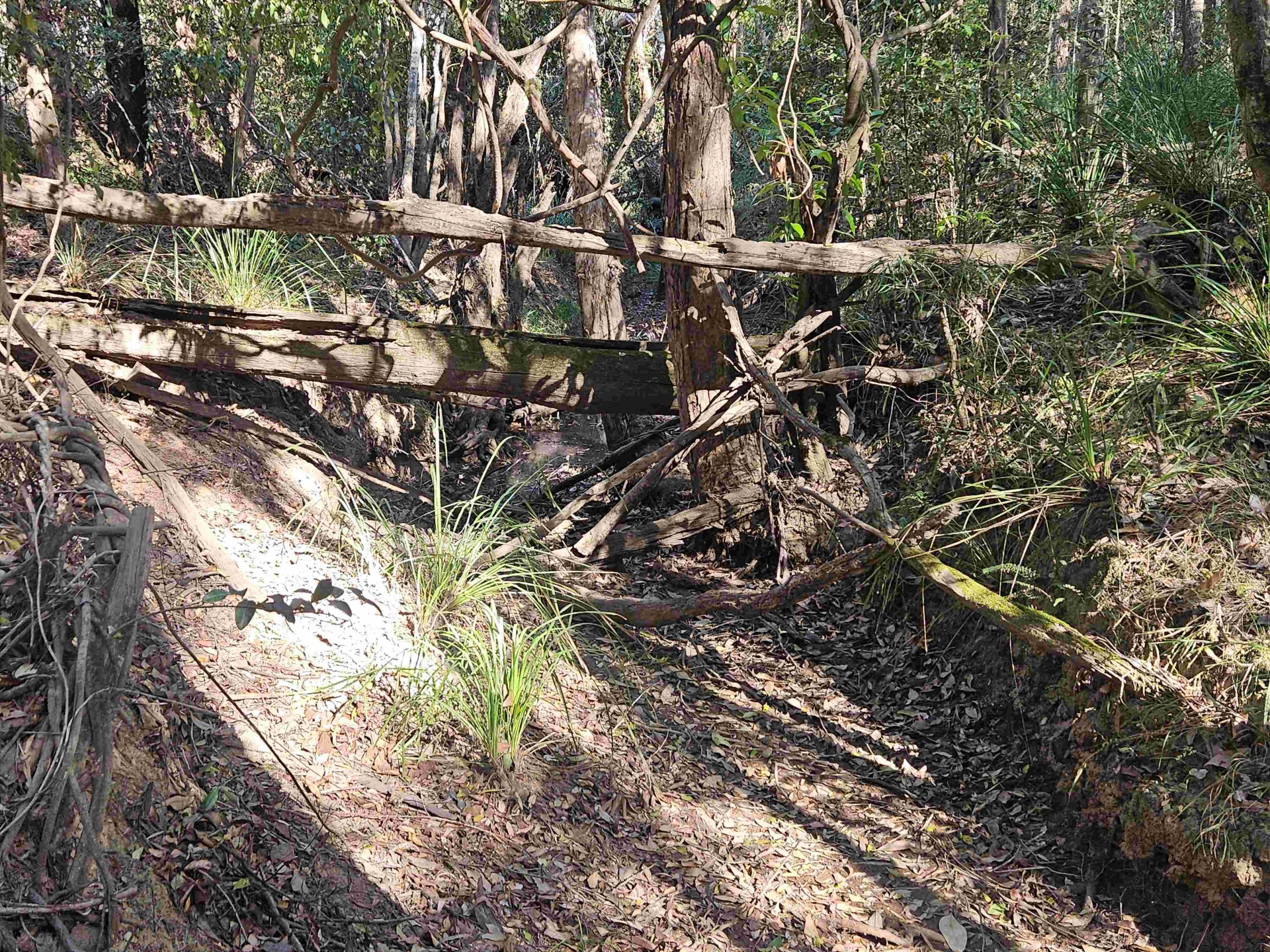 Image 6