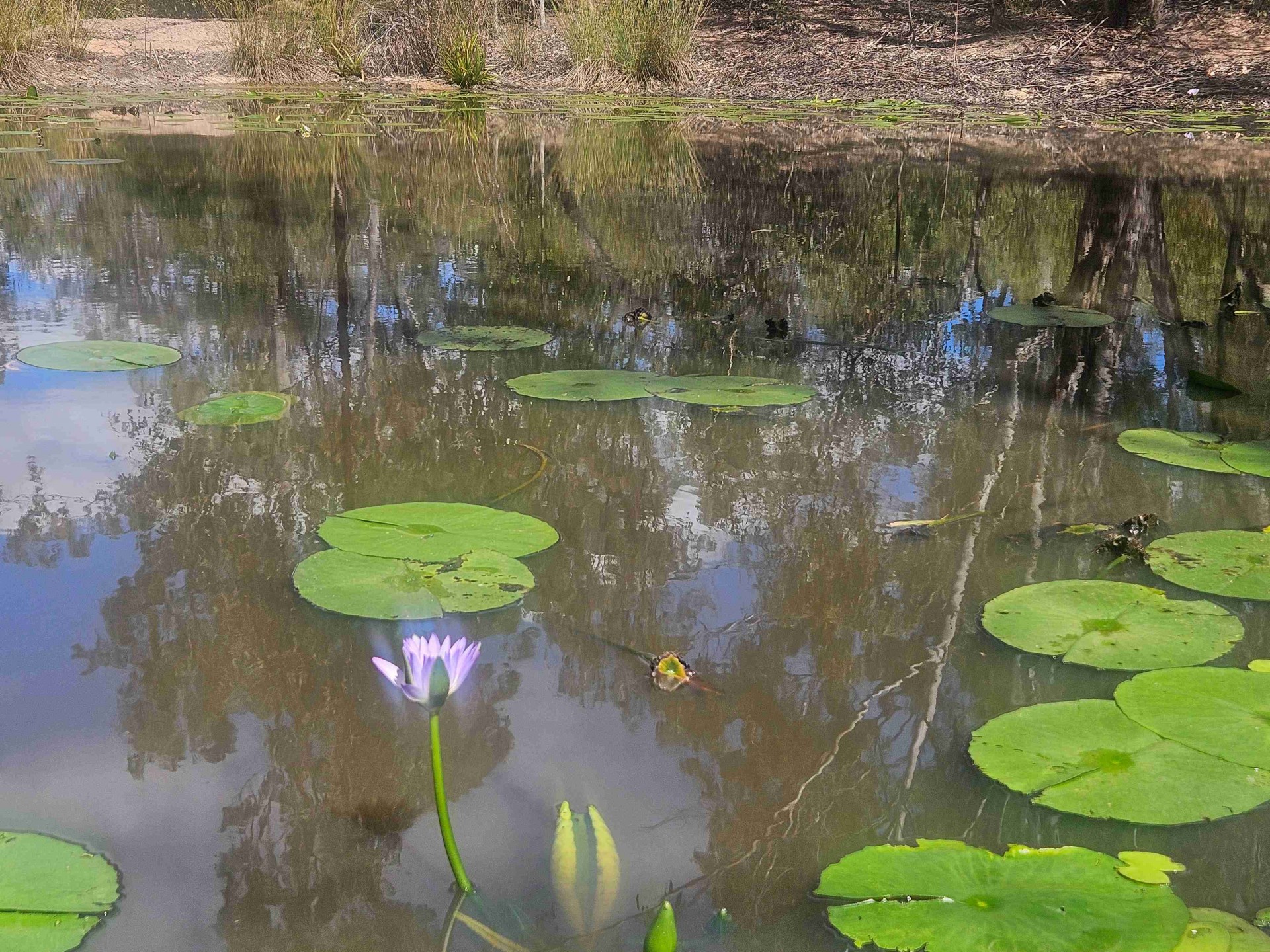 Image 14