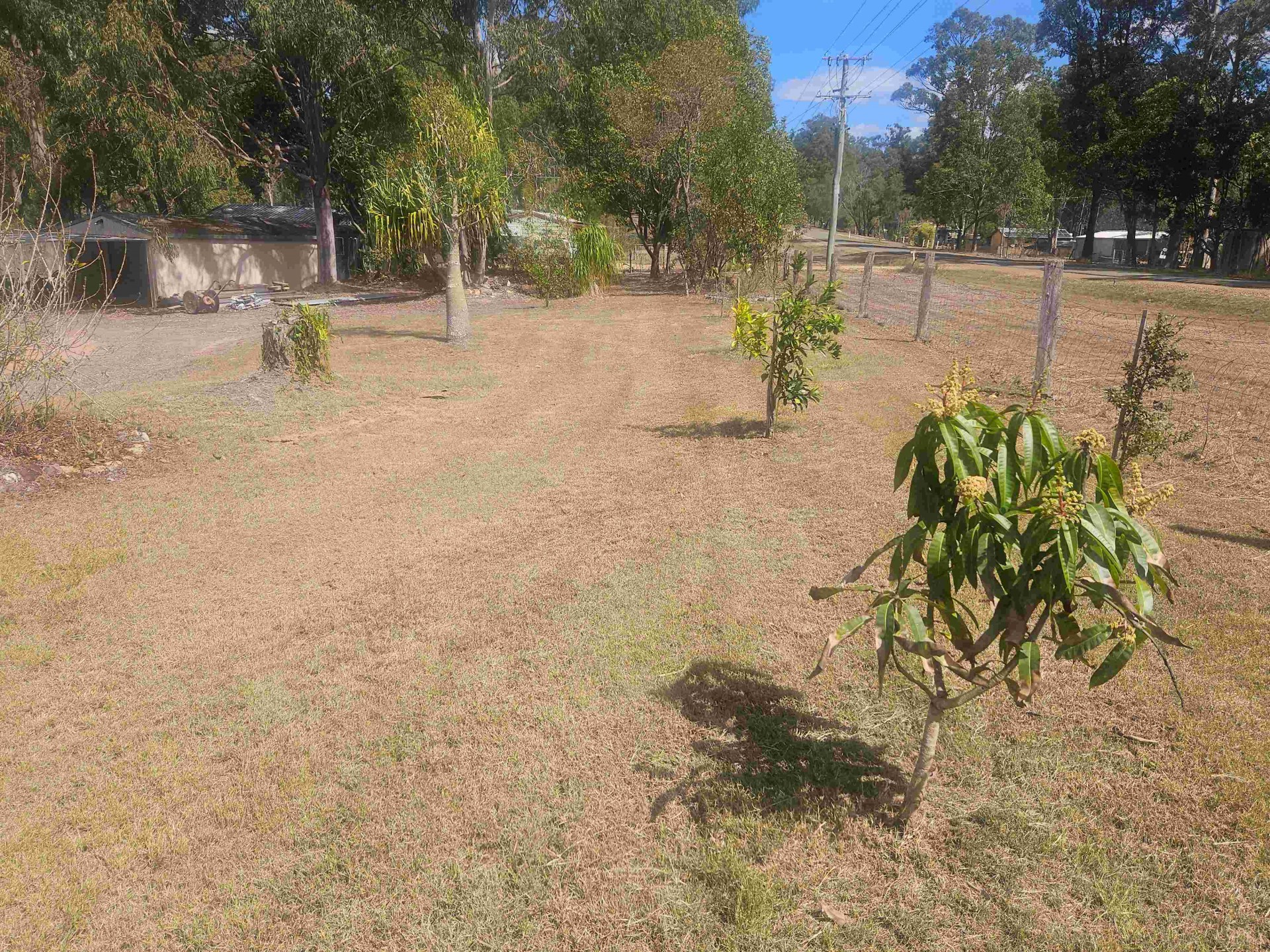 Image 15