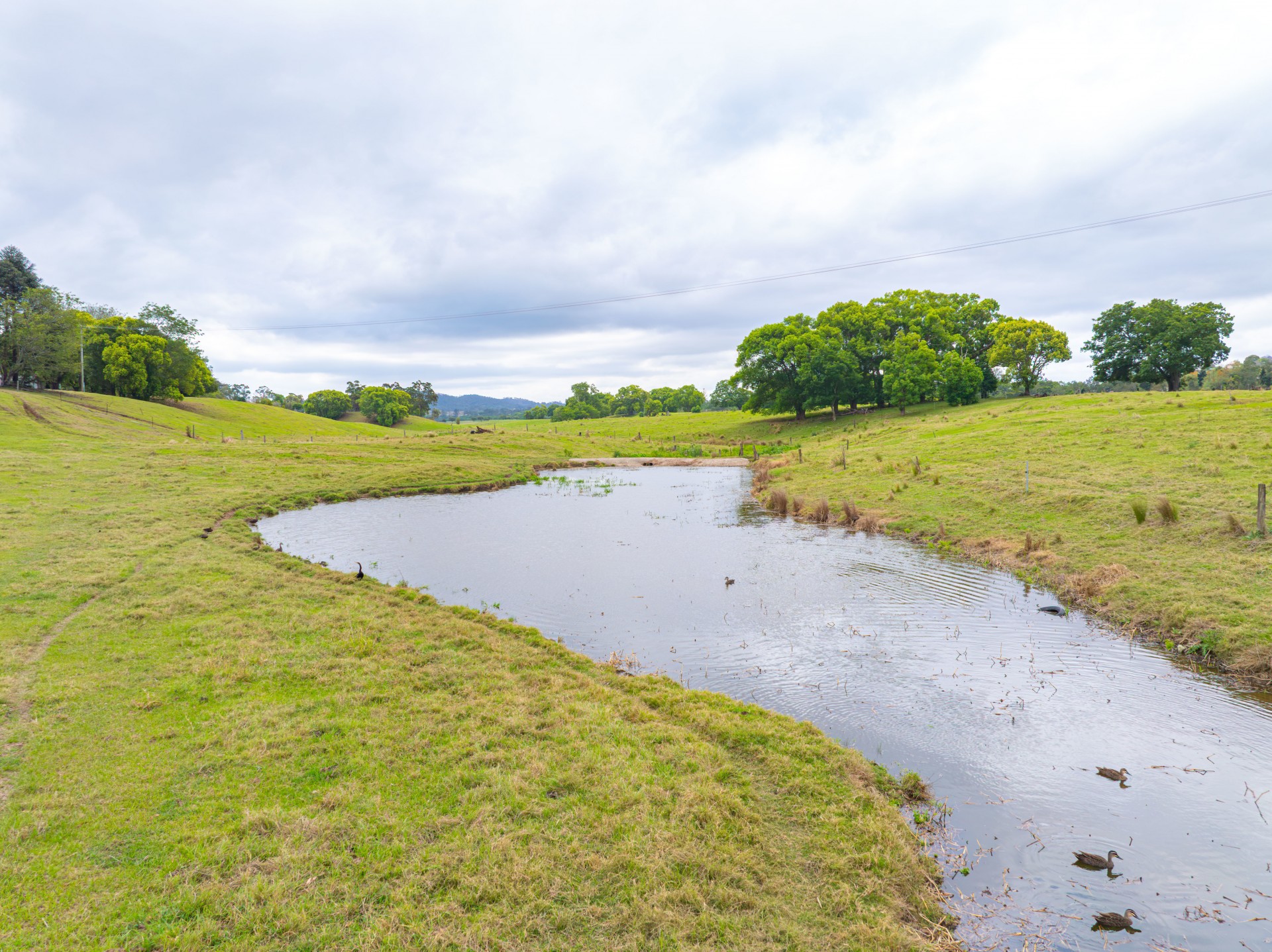Image 20