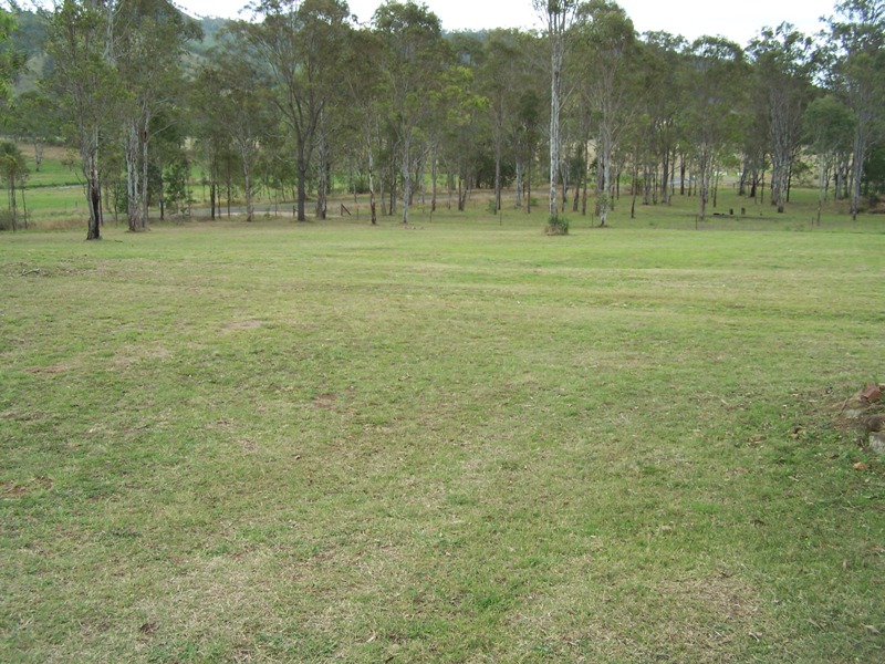 Image 13