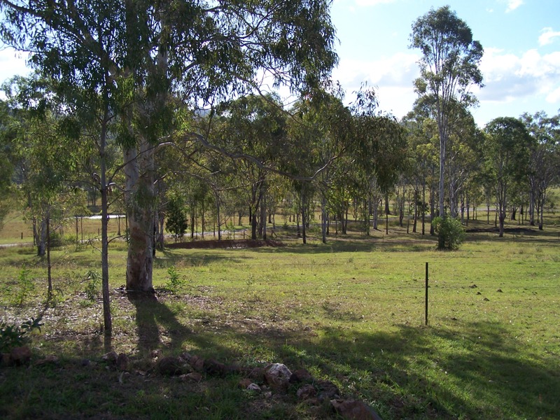 Image 14