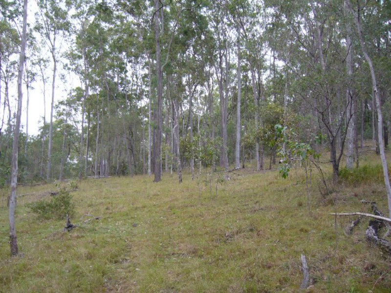 Image 8