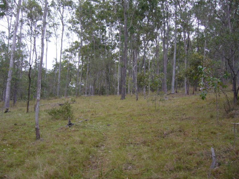 Image 9
