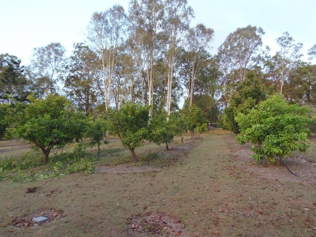 Image 24