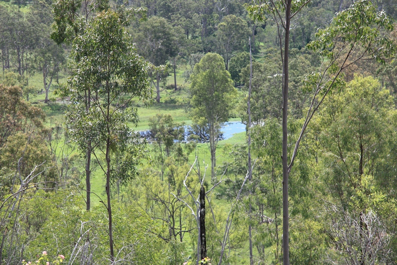 Image 12