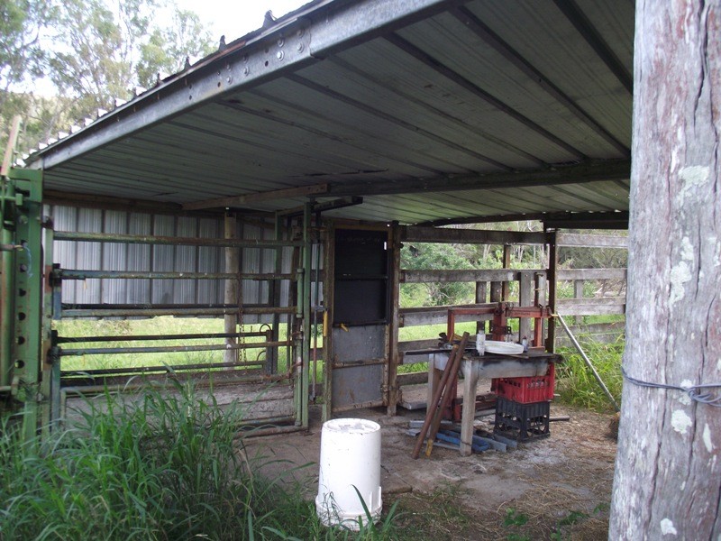 Image 11
