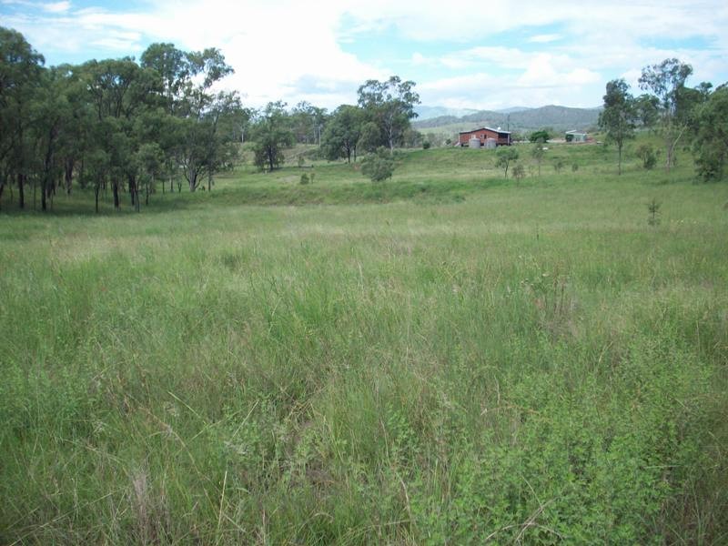 Image 12