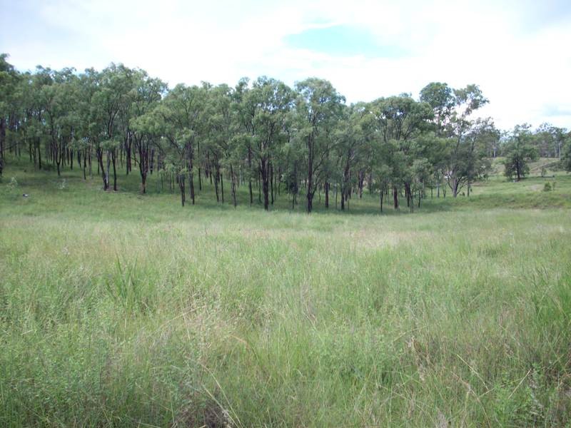Image 13