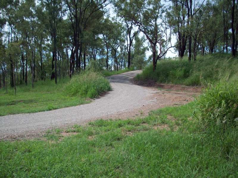 Image 15