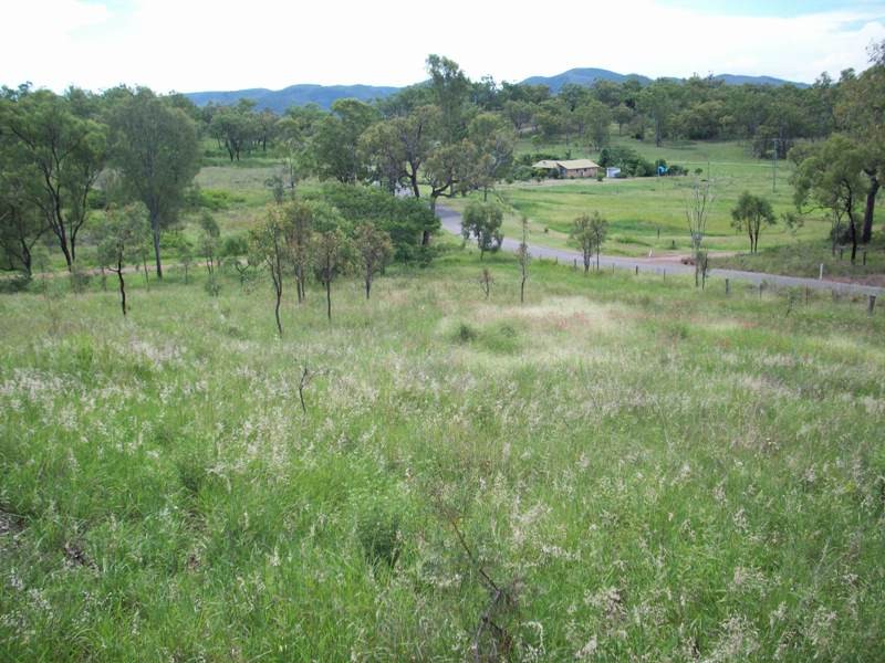 Kilkivan > Tom Grady Real Estate