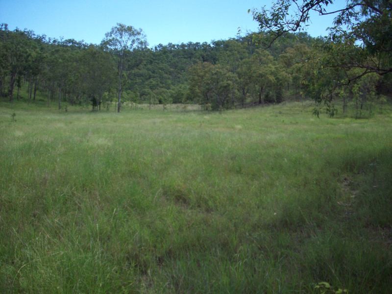 Image 9
