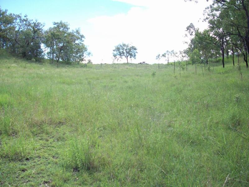 Image 10