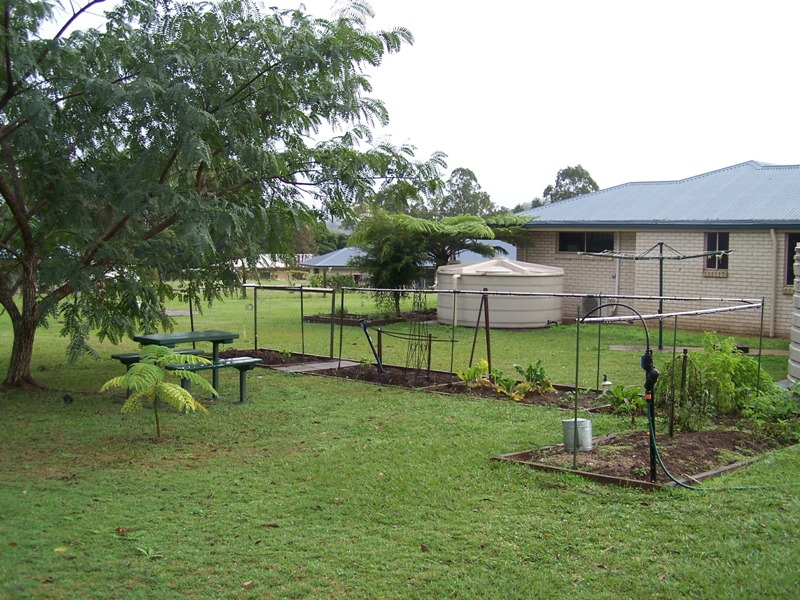 Image 19