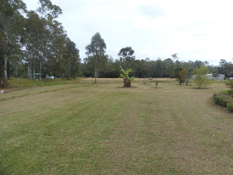 Image 11