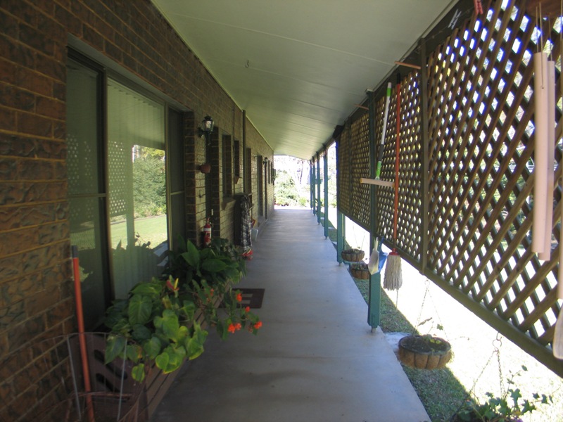 Image 13