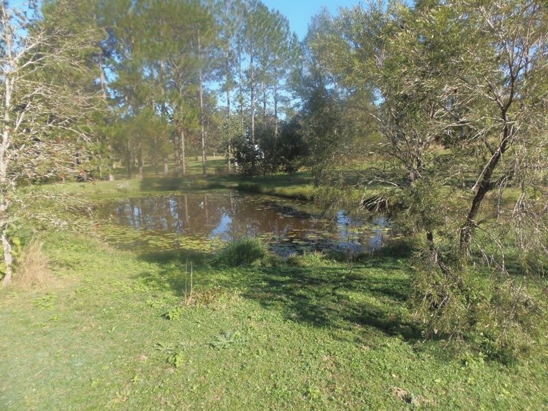 Image 19