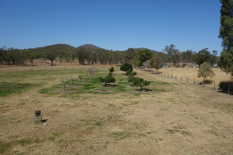 Image 13