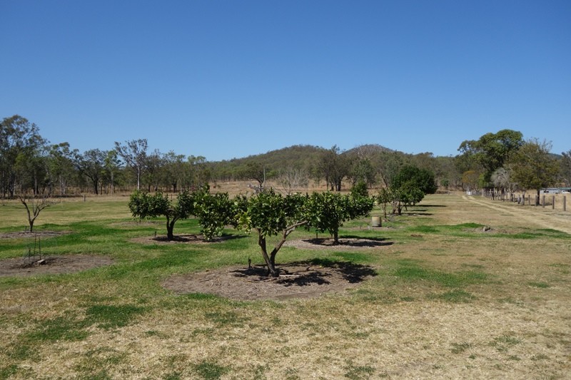 Image 14