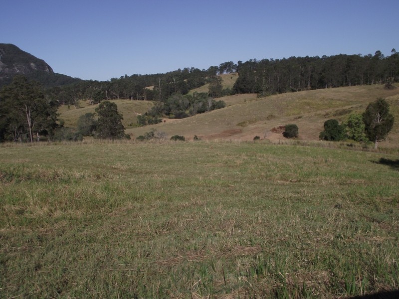 Image 16