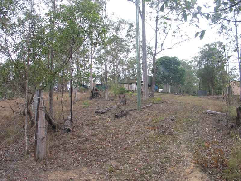 Image 4