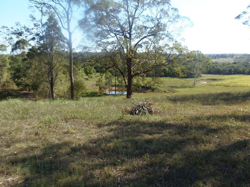 Image 4