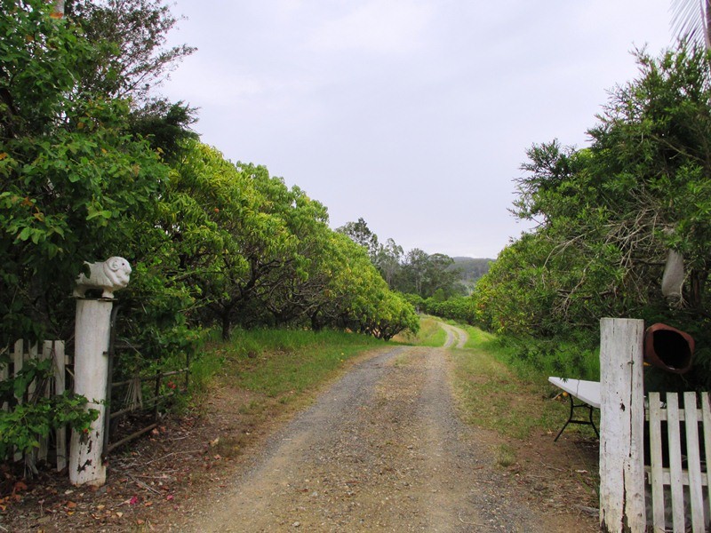 Image 20