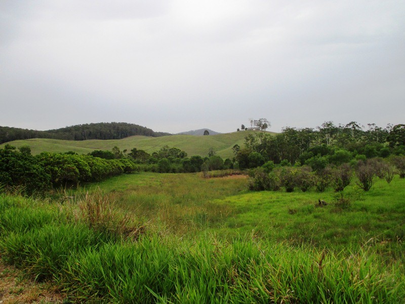 Image 21