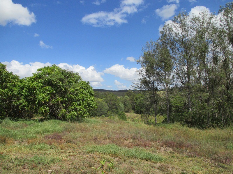 Image 26