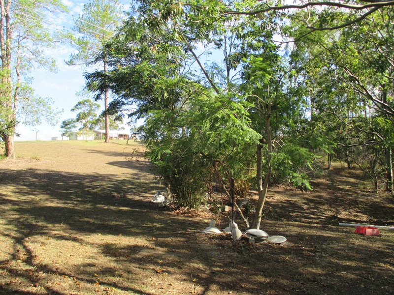 Image 19