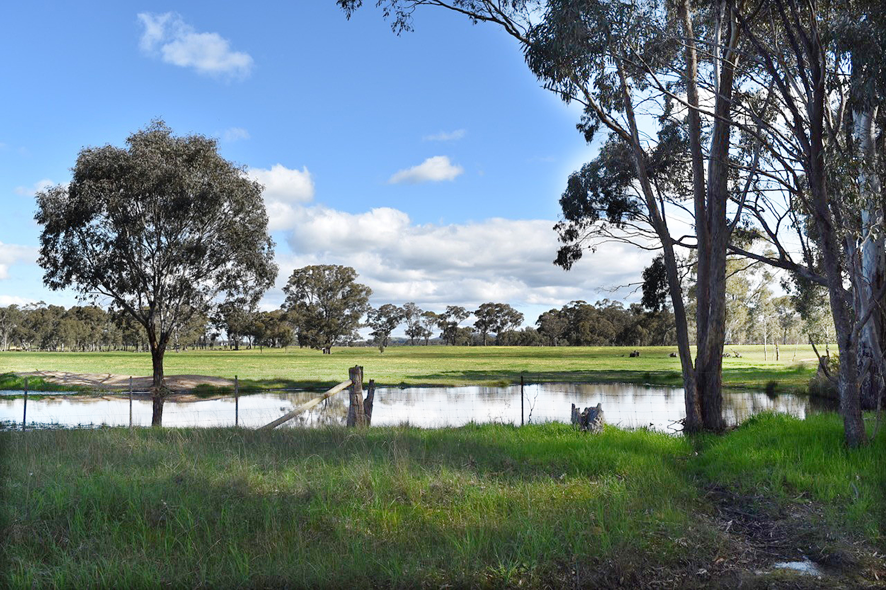 Lamplough-Greenhill Creek Road, Lamplough - Image 1