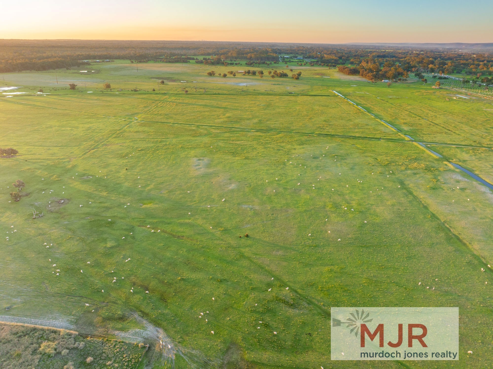 1001 Karnup Road, Serpentine - Thumbnail 7