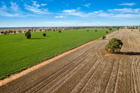 Property in Condobolin - Sold for $16,223,410