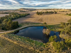 Property in Cootamundra - Sold for $10,000,000