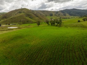 Property in Jingellic - Sold