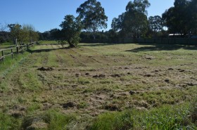 Property in Coolamon - Sold for $185,000