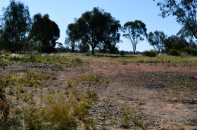 Property in Coolamon - Sold