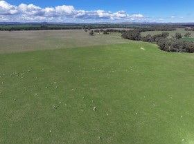 Property in Stockinbingal - Sold