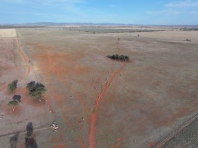 Property in Lake Cargelligo - Sold