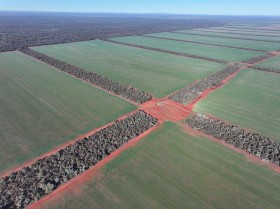 Property in Euabalong - Sold