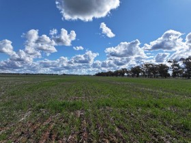 Property in Temora - Sold for $1,529,600